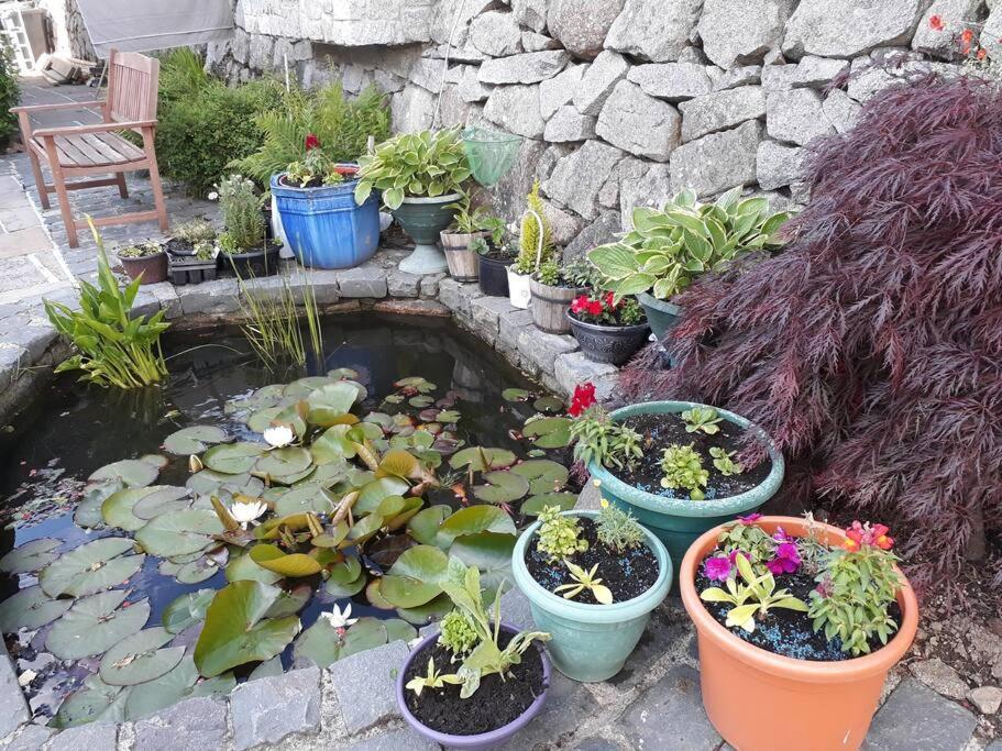 Country Cottage Close To The City. نيوري المظهر الخارجي الصورة